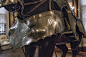 Medieval Armor (464)