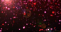 4K粒子灯光花瓣飞舞特效素材_4096X2160_高清视频素材下载(编号:3072927)_影视包装_VJ师网 www.vjshi.com : 有通道的真4K粒子灯光花瓣飞舞特效素材