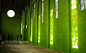 绿色画廊——Dilston Grove




最近，英国两位受人拥戴的艺术家Heather Ackroyd 和 Dan Harvey给伦敦东南部的一座地标教堂换了个造型，你猜他们在教堂内墙上做了什么？……种真草！





Dilston Grove是曾因Clare学院天主教堂而闻名的一座被列入一级保护名册的意大利建筑，它的历史可追溯到20世纪。上世纪60年代，它被修葺成一系列艺术画室，





而如今它是伦敦东南部各隐秘艺术领域的珍宝之一。现在，这画廊的忧......