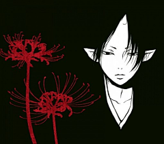 amour_Jae采集到鬼灯