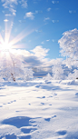 冬日冬季冬日雪景风景场景背景