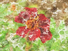 绘画插图,纸,水彩画,艺术,水平画幅,无人,夏天,计算机制图,计算机图形学