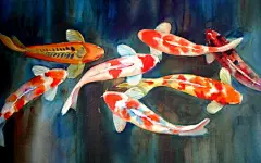 富贵鲤鱼写真24寸宽屏高清桌面壁纸下载桌面壁纸4