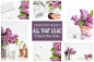 丁香图片素材场景包 Lilac Styled Stock Photo Bundle