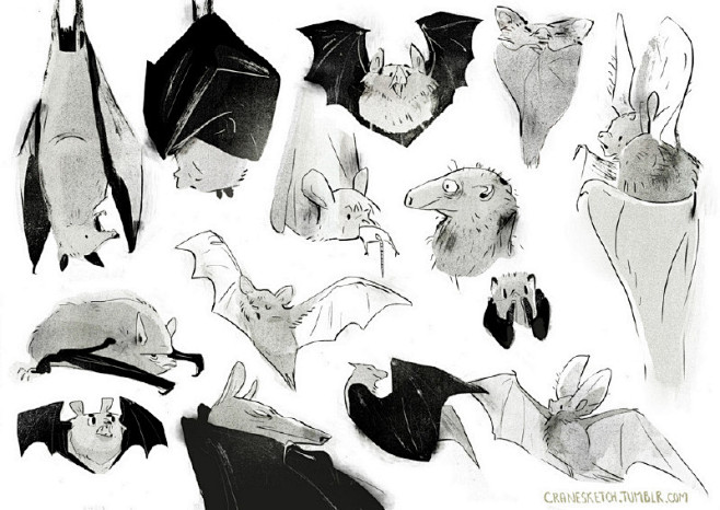 插画师 Rebecca Crane