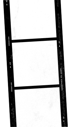 i雨果采集到胶片png