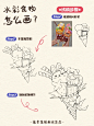 插画教程｜5步画出好看的水彩美食插画 - 小红书
