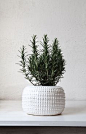 vase