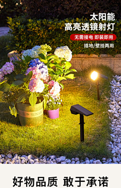 曦已有采集到射树灯