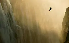 苹果Mac OS X Lion 系统壁纸39890