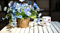 vase, wood, flowers, bouquet