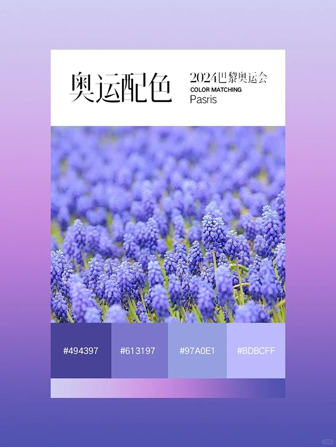 这也太浪漫了吧！巴黎奥运配色绝了 - 小...