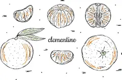 卡通橘子  - 源文件下载【酷图网】卡通橘子,卡通橘子素材,橘子,橘子海报素材,广告,水果,瓶贴,可爱,橘子素材,图片,包装,美味,新鲜,插画,插图,免扣,素材,元素,矢量,卡通,手绘,手绘橘子,标志,logo,简约,图案,图标,橘子插画,矢量橘子,汁,橙色,蜜桔,砂糖橘,小橘子,砂糖桔,金桔,果汁,清新,简笔画,橘子瓣,线稿,素描