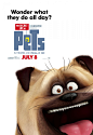 Extra Large Movie Poster Image for The Secret Life of Pets (#17 of 18)