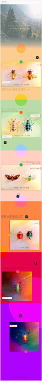 Those Insects on Behance
