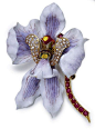 Circa 1904 Enameled Brooch: 