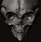 Grey Alien skull