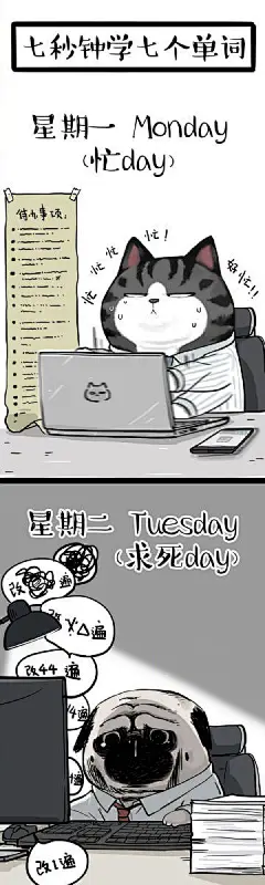 @吾皇的白茶 的个人主页 - 微博