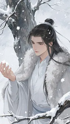 jimeng-2025-09-10-3229-cg动漫伪厚涂人物插画，质感。粗糙笔触，水粉质感。冬日，雾凇，披风，武侠，毛绒披