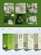 茶集适 | 新中式东方美学茶饮品牌设计 - 小红书