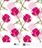 [美工云]Roses-Floral七夕情人节玫瑰花卉剪辑艺术素材_PNG：