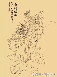 Demain110采集到花卉