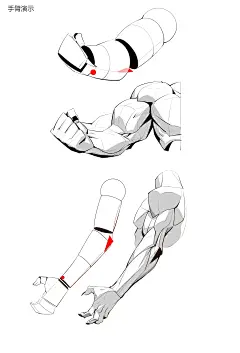 保姆级别手臂绘画教程～_大木画画__插画师作品_涂鸦王国gracg.com