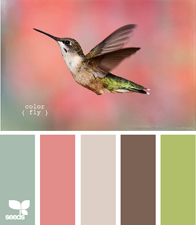 ColorFly620