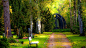 General 1920x1080 park trees plants bench dirt road grass monuments