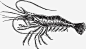 手绘素描龙虾 设计图片 免费下载 页面网页 平面电商 创意素材
