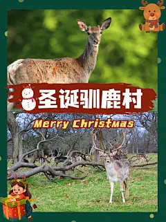 圣诞节旅游攻略实景卡通小红书配图