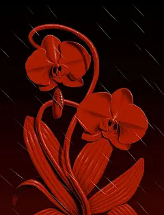 7729d1a2f84e77c41cbb6164d1fbec2b