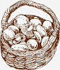 手绘一篮蘑菇高清素材 咖啡厅 手绘 手绘食物 插画 比萨饼 素描 线稿 西餐 速写 食物 元素 免抠png 设计图片 免费下载 页面网页 平面电商 创意素材