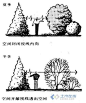 植物配置方法_景观设计_秋凌景观网景观设计师培训—秋凌景观网