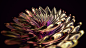 Flowerline : flowerline 