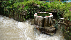 小心思~采集到水