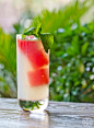 Tory Entertains: The Darby’s Watermelon Cocktail | The Tory Blog