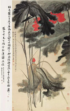 LULUG采集到莲花.综合