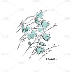 beautiful flowers bluebells on white background