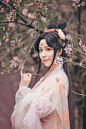 #三生三世枕上书#  ❀❀ 花下令·凤九❀❀ 月令花，天上雪，花初放，始凋谢，一刻生，一刻灭，月出不见花，花开不见月，月令花不知，花亦不识月，花开一刻生，花谢一刻灭。|凤九：圆PO 摄影/调色：@菠蘿菠蘿菌 |“四叔的桃花林，被我承包了”= =+