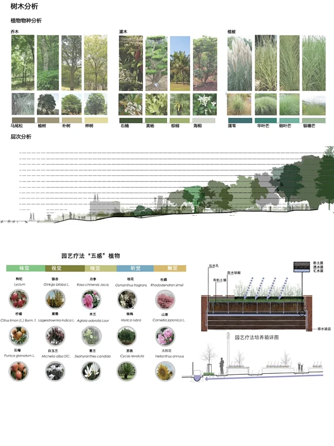 景观植物分析图PSD文件-花瓣网