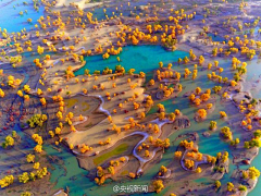 bor~~~采集到Aerial photo（航拍）