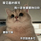 过年变异地恋了，聊天表情包都给你准备好咯 - 小红书