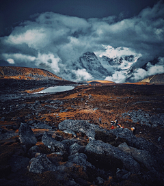 丶木白采集到背景