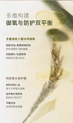 梧心采集到成分