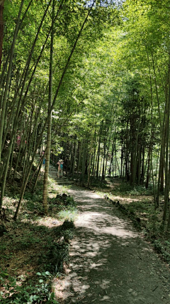 斑马手帖采集到A-天柱山大峡谷