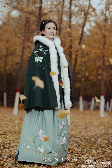 冬意丨西风紧兮白雪飞，草木落兮离人归。 ...