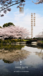 春分 节气 地产