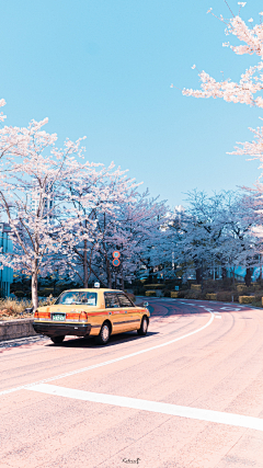 栖ㄝ采集到路