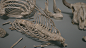Bones (UE5)